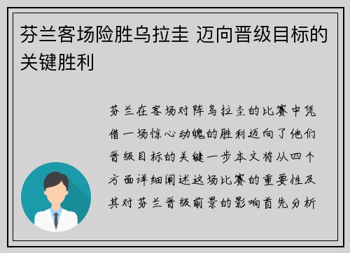 芬兰客场险胜乌拉圭 迈向晋级目标的关键胜利